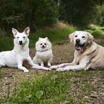 Ersteller:in Xandra Profilbild