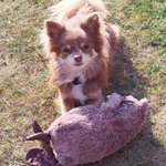 Ersteller:in Pidi Profilbild