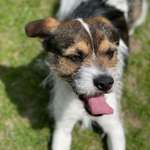 Ersteller:in Yv. Profilbild