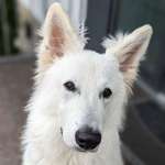 Ersteller:in Sandra Profilbild