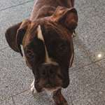 Ersteller:in Nadine Profilbild