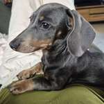 Ersteller:in Nici Profilbild