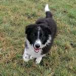 Ersteller:in Heike Profilbild