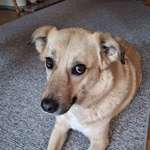 Ersteller:in Gabi Profilbild