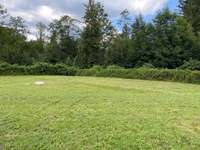 Hundeauslaufgebiet-Hundewiese Puch b. Hallein-Bild