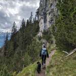 Ersteller:in Julia Profilbild