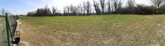 Hundeauslaufgebiet-Berghamer Straße-Bild