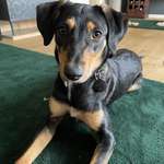 Ersteller:in Jessica Profilbild