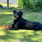 Ersteller:in Uwe Ge Profilbild