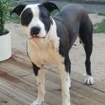 Ersteller:in Natascha Profilbild