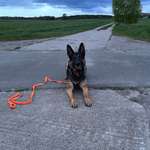 Ersteller:in Jana Profilbild