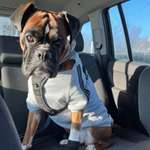 Ersteller:in Ayleen Profilbild