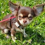 Ersteller:in Kerstin Profilbild