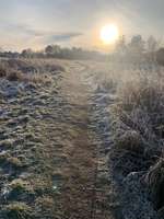 Hundeauslaufgebiet-Ostcharweg-Bild