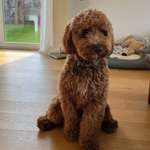 Ersteller:in Sabine Profilbild