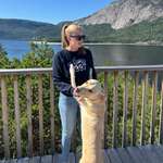 Ersteller:in Lara Profilbild