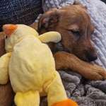 Ersteller:in Anna Profilbild