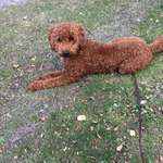 Ersteller:in Anett Profilbild