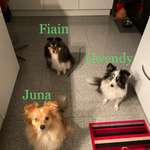 Ersteller:in Manuela Profilbild