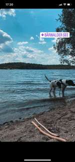 Hundeauslaufgebiet-Bärwalder See-Bild