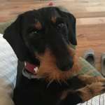 Ersteller:in Andrea Profilbild