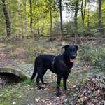 Ersteller:in Maja Profilbild