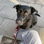 Ersteller:in Maja Profilbild