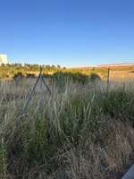 Hundeauslaufgebiet-Neumarkt-Bild