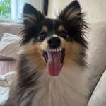 Ersteller:in Nici Profilbild