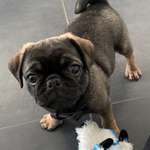 Ersteller:in Angela Profilbild