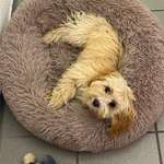 Ersteller:in Carina Profilbild