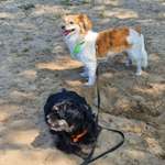 Ersteller:in Naima Profilbild