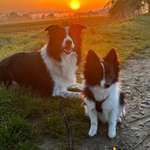 Ersteller:in Kira Profilbild