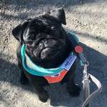 Ersteller:in Antje Profilbild