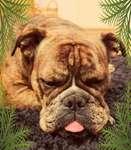 Ersteller:in Simone Profilbild