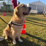 Ersteller:in Rabbit Profilbild