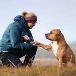 Ersteller:in Anne Profilbild