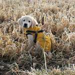 Ersteller:in Melanie Profilbild