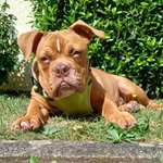 Ersteller:in Yasmin Profilbild