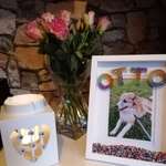 Ersteller:in Diana Profilbild