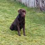 Ersteller:in Elke Profilbild