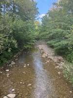 Hundeauslaufgebiet-Starzlachrunde-Bild