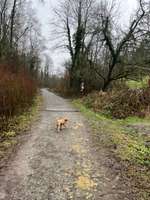 Hundeauslaufgebiet-Steinbruch, Grube7-Bild