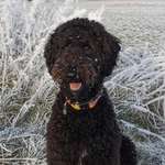 Ersteller:in Vanessa Profilbild