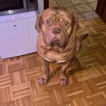 Ersteller:in Stefanie Profilbild