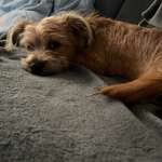 Ersteller:in Stephanie Profilbild