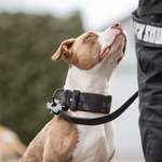 Ersteller:in Hamdi Profilbild