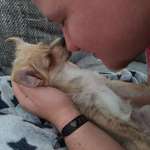 Ersteller:in Tom Profilbild