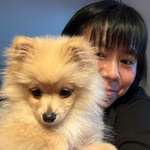 Ersteller:in Huanhuan Profilbild