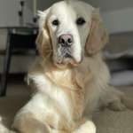 Ersteller:in T Profilbild